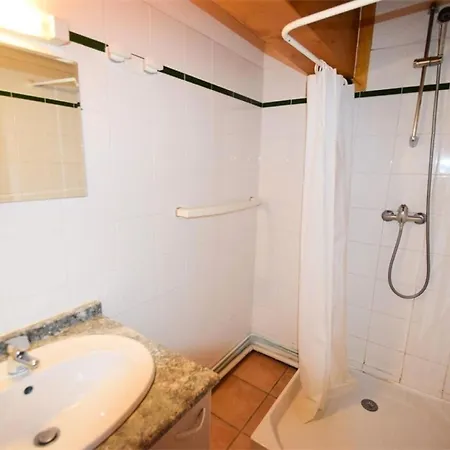 Dağ evi Les Des Alpages - 8/10 Pers - Les Alpages - Plagne Soleil - Wifi - C6alp Mae-3534 *
